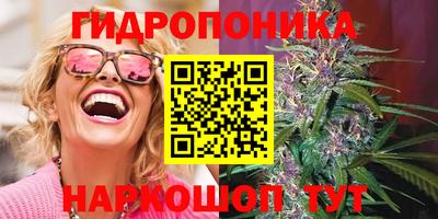 спайс Малгобек