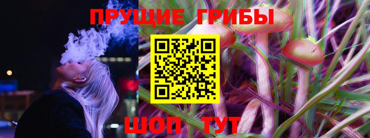 купить наркотик  Вход с VPN  Галлюциногенные грибы Magic Shrooms  Ижевск  Галлюциногенные грибы мицелий 